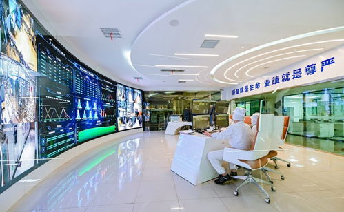 營養新篇章 國家學生飲用奶計劃惠及3210萬學生，開啟健康商業新機遇